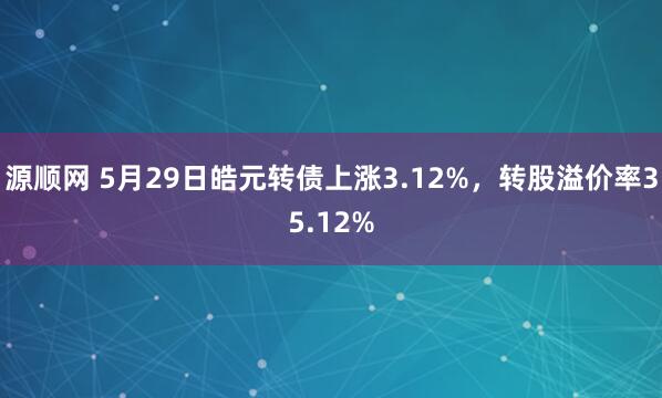源顺网 5月29日皓元转债上涨3.12%，转股溢价率35.12%