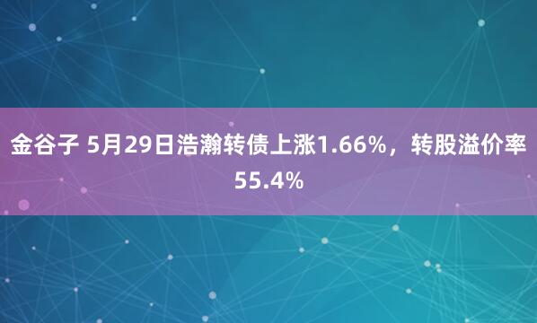 金谷子 5月29日浩瀚转债上涨1.66%，转股溢价率55.4%