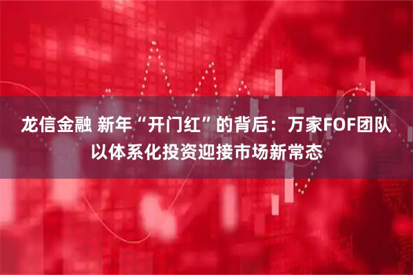 龙信金融 新年“开门红”的背后：万家FOF团队以体系化投资迎接市场新常态