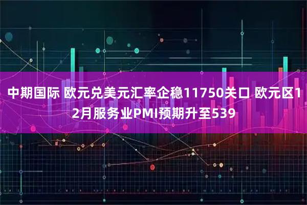 中期国际 欧元兑美元汇率企稳11750关口 欧元区12月服务业PMI预期升至539