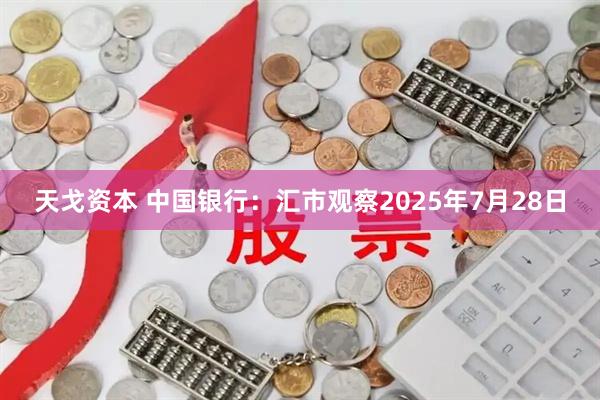 天戈资本 中国银行：汇市观察2025年7月28日
